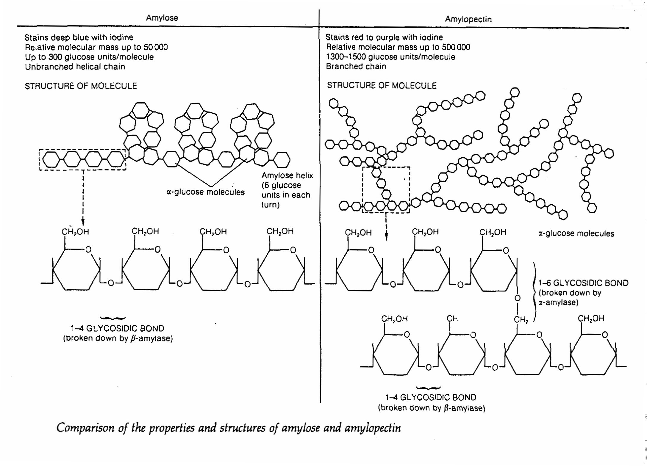 d4.tif (395279 bytes)