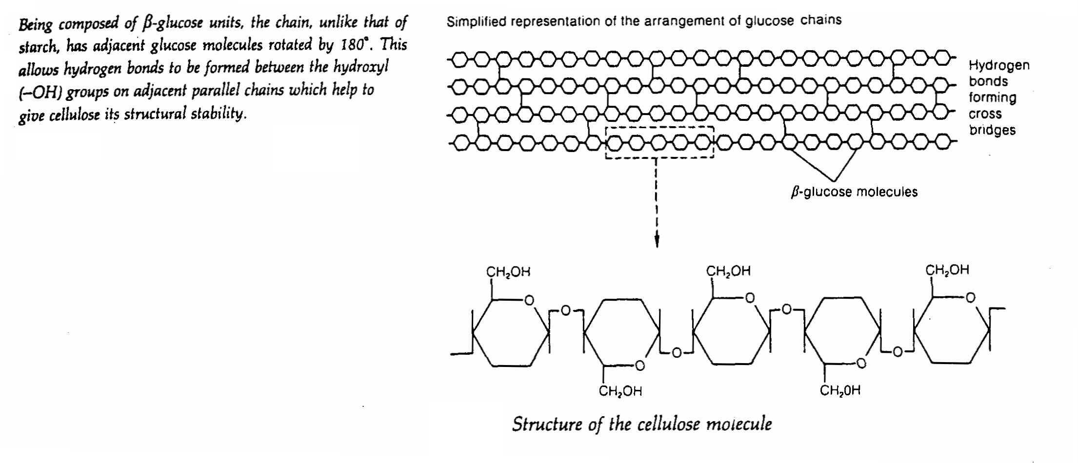 d5.jpg (757390 bytes)