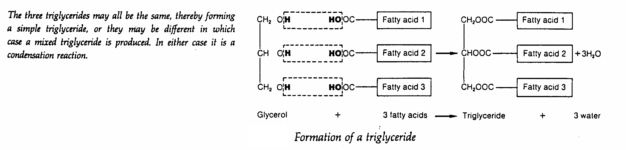 d6.jpg (468041 bytes)