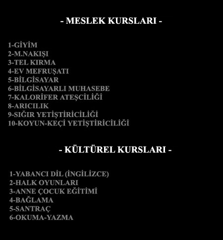 kurslar.jpg (39704 bytes)