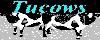 Tu cows