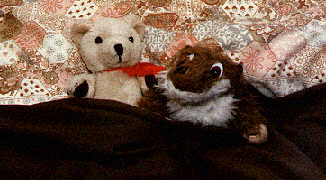 WebMaster Ben and Web Designer Dino