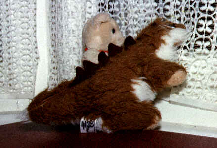 Watching for the mailman