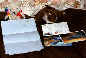 Ben and Dino reading some messages they've received (actually they were for Tim but they pinched them)