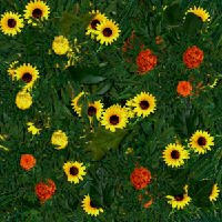 PalandorZone - Holiday Graphic