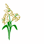 PalandorZone - Holiday Graphic