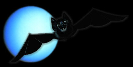 Bat and Moon