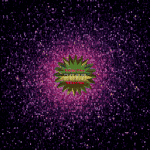 PalandorZone - Holiday Graphic