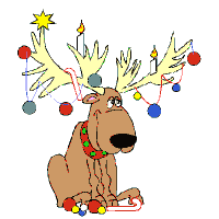 PalandorZone - Holiday Graphic