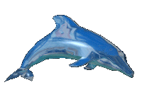 Another Palandor graphic