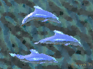 Schooling Dolphins