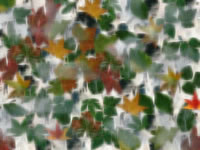 Another PalandorZone Wallpaper  (convert to BMP) in jpg or gif format