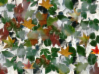 Another PalandorZone Wallpaper  (convert to BMP) in jpg or gif format