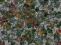 Another PalandorZone Wallpaper  (convert to BMP) in jpg or gif format