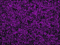 Another PalandorZone Wallpaper  (convert to BMP) in jpg or gif format