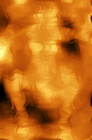 Another PalandorZone Wallpaper  (convert to BMP) in jpg or gif format