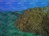 Another PalandorZone Wallpaper  (convert to BMP) in jpg or gif format