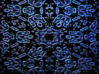 Another PalandorZone Wallpaper  (convert to BMP) in jpg or gif format