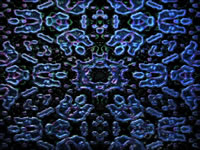 Another PalandorZone Wallpaper  (convert to BMP) in jpg or gif format