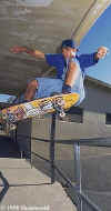 skate7.jpg (28478 bytes)