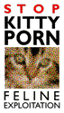 kitty porn