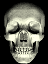 skull123