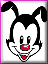yakko