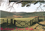 Rothbury Town Walk