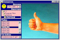 Viewer.gif (13913 bytes)