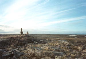 Inuksuit