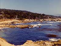 Carmel 3