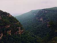 Cloudland Canyon