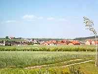 Austrian Landscape