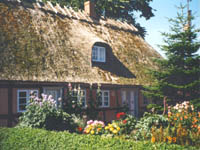 Thatch Roof