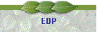 EDP