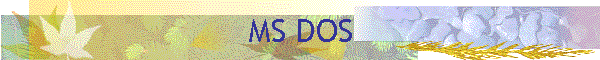 MS DOS