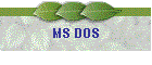 MS DOS