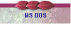 MS DOS