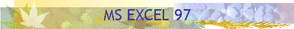 MS EXCEL 97