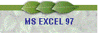 MS EXCEL 97