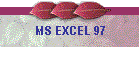 MS EXCEL 97