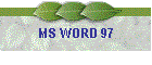 MS WORD 97