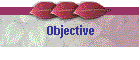 Objective