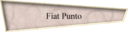 Fiat Punto