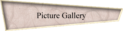 Picture Gallery