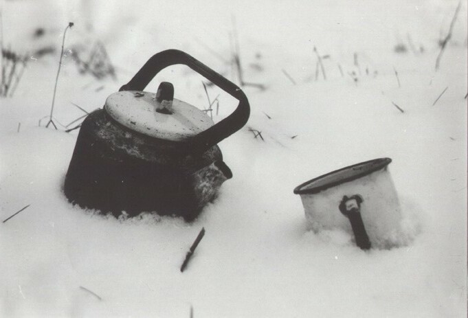 Tea on snow. ��� �� �����.
