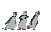 pinguins2.gif (44438 bytes)