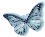 Butterflyleft