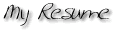 My Résumé