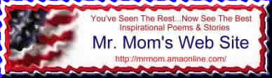 Mr. Mom's Web Site